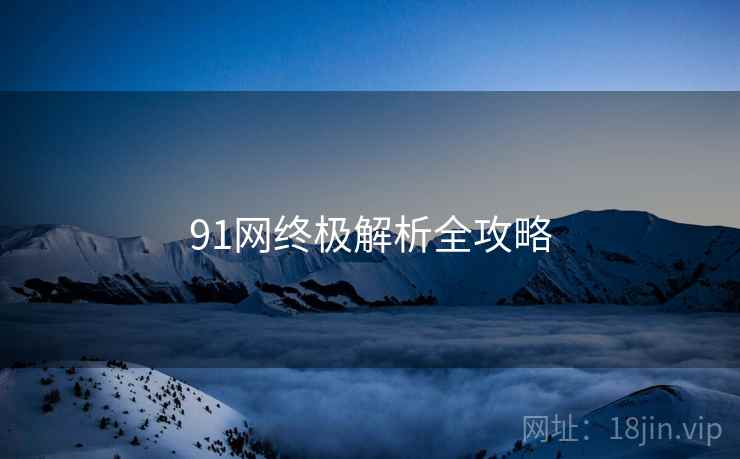 91网终极解析全攻略