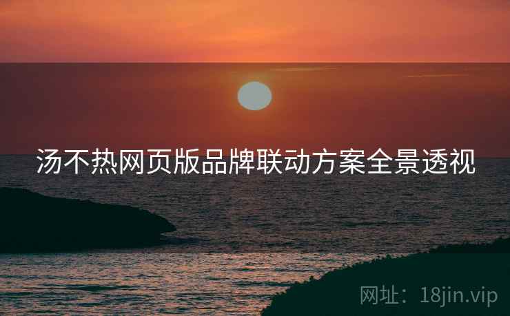 汤不热网页版品牌联动方案全景透视